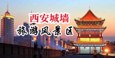 骚货操逼视频中国陕西-西安城墙旅游风景区