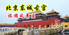 中韩日插插视频中国北京-东城古宫旅游风景区
